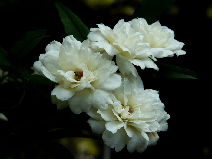 足球地理西班牙,足球地理法国