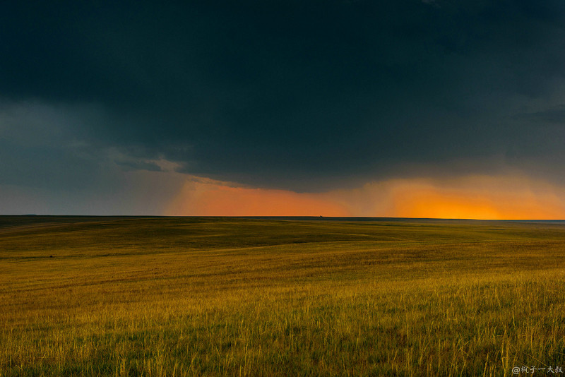草原金秋美景图片,蓝天白云大草原的美图