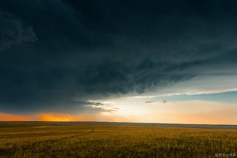 草原金秋美景图片,蓝天白云大草原的美图