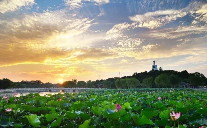 绂忓埄鏉ヤ簡鍏嶈垂绀肩洅,绂忓埄鏉ヨ濂界ぜ