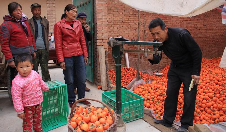 100个小成本适合农村创业的小方法,55到65岁在农村能创业什么项目