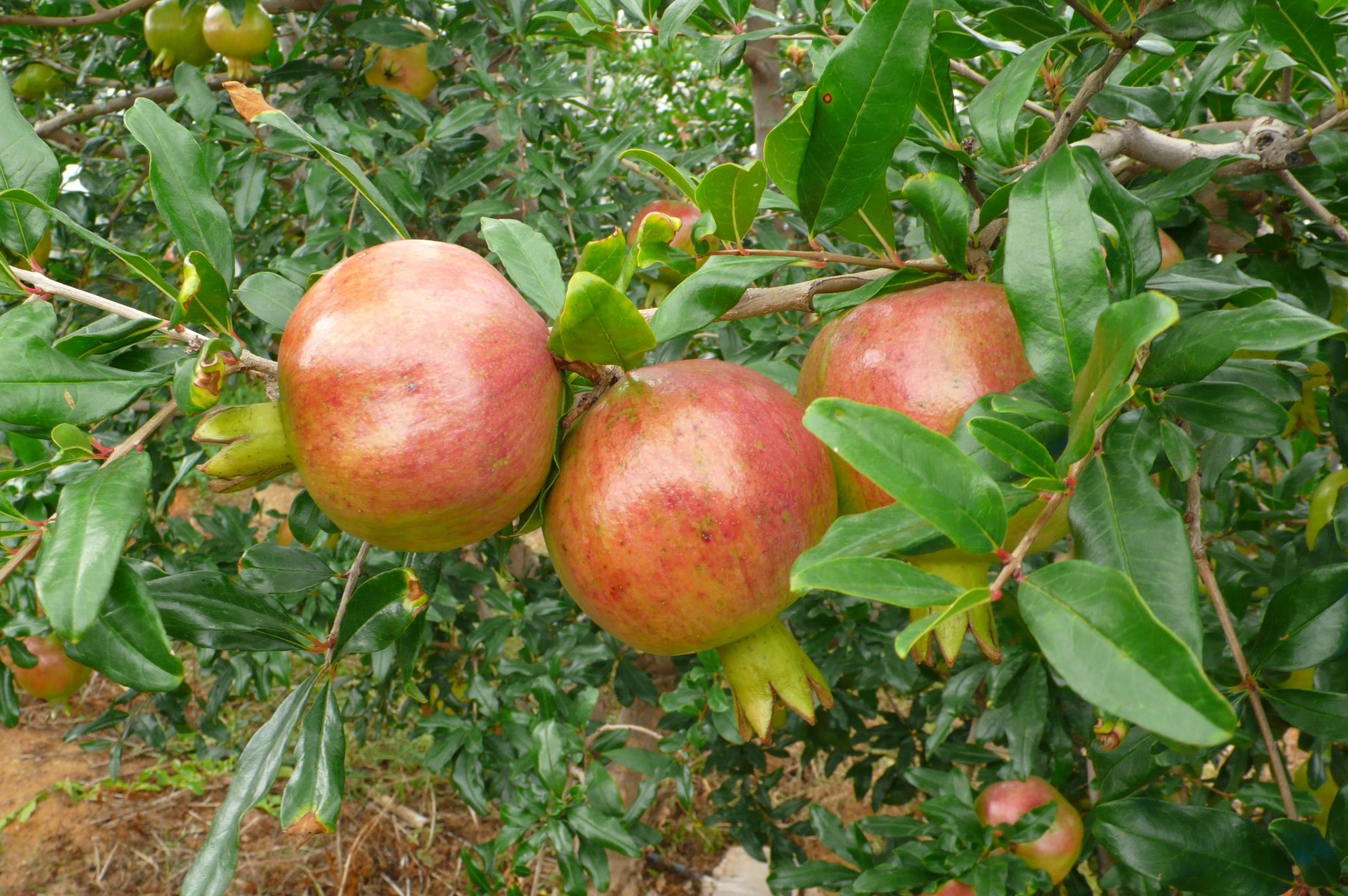 怎么在家赚钱的十种方法最新版,教你如何在家赚钱的十种方法