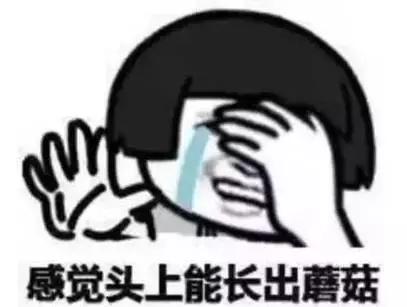 云溪00后“球星”都在这里！海量照片带你回忆云溪区2017年中小学生球类运动会！