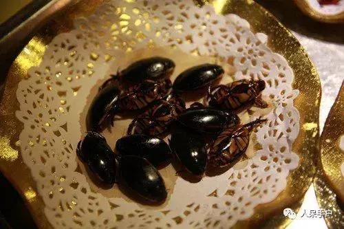 奇特的昆虫美食,史上最恶心的昆虫美食