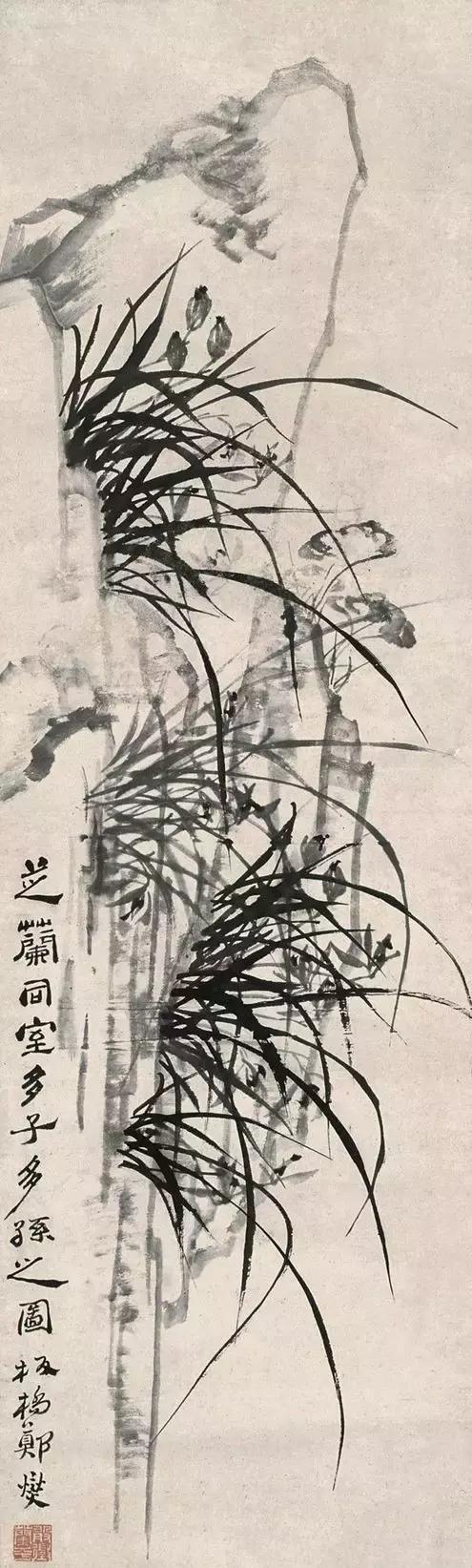 郑板桥画的是兰花还是兰草,郑板桥画不画兰花