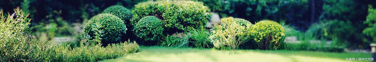 mpacc会计专硕考研最好上岸的学校,2018年mpacc会计硕士录取情况汇总