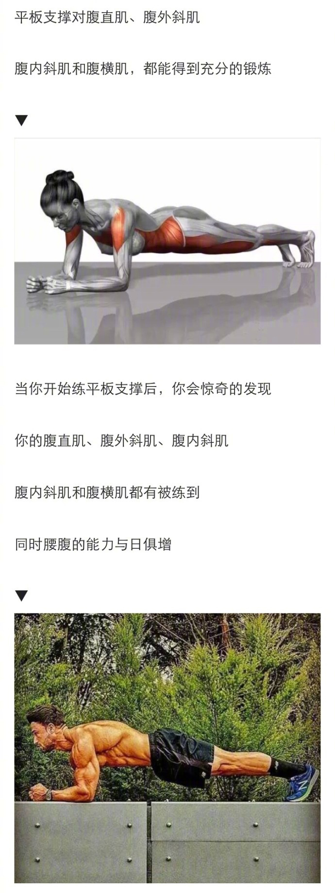 坚持平板支撑一年后感觉怎么样,坚持平板支撑一个月前后对比