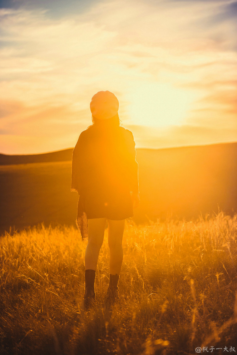 草原金秋美景图片,蓝天白云大草原的美图