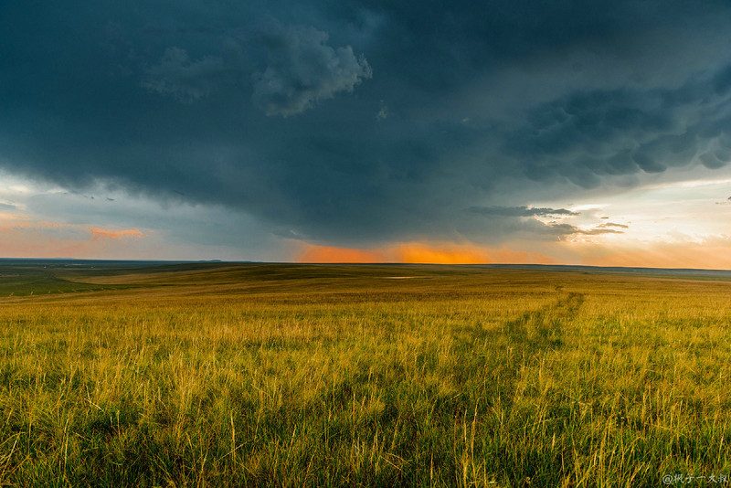 草原金秋美景图片,蓝天白云大草原的美图