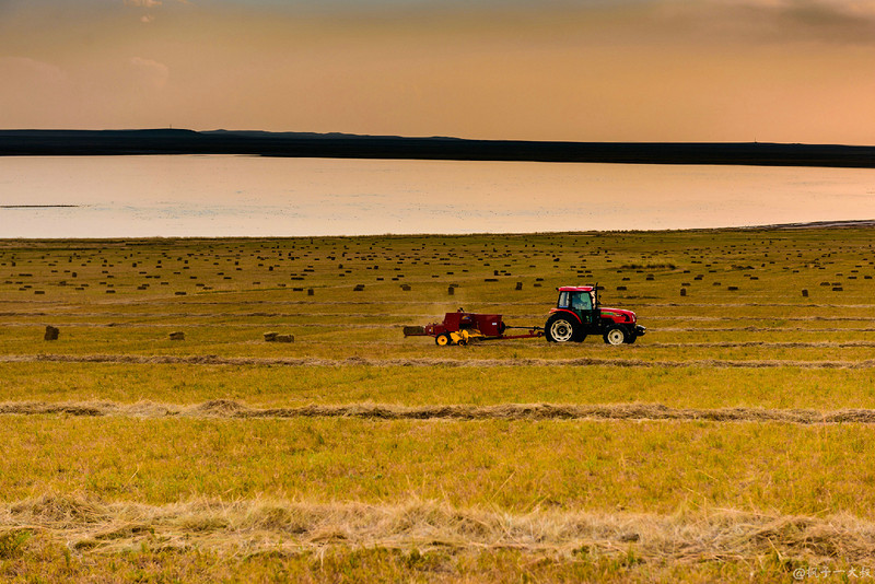 草原金秋美景图片,蓝天白云大草原的美图
