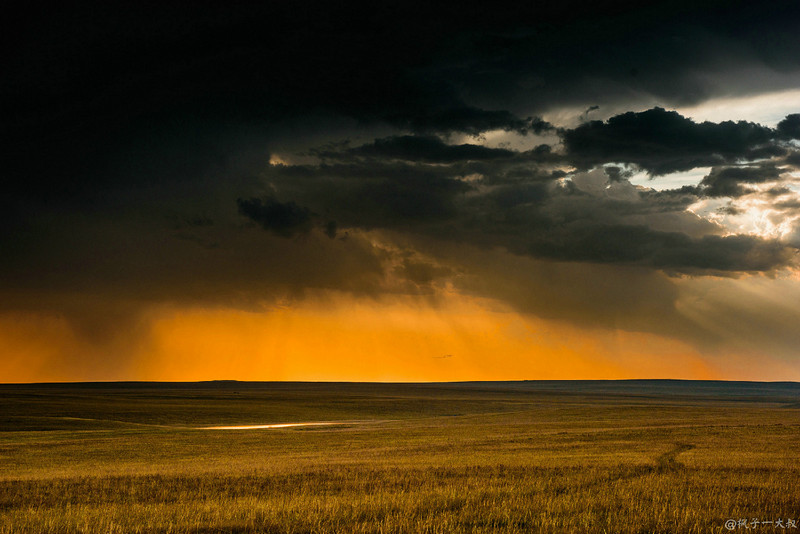 草原金秋美景图片,蓝天白云大草原的美图