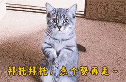 福州便民百事通微信号,福州便民网免费发布信息网