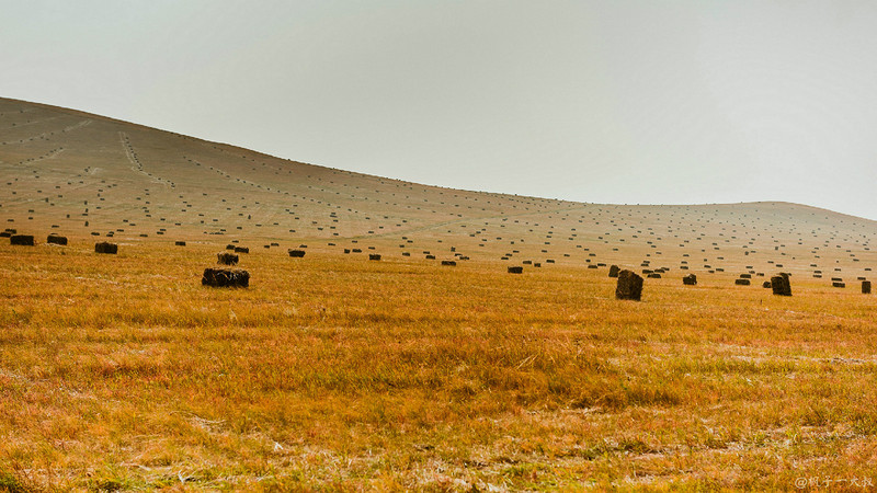 草原金秋美景图片,蓝天白云大草原的美图