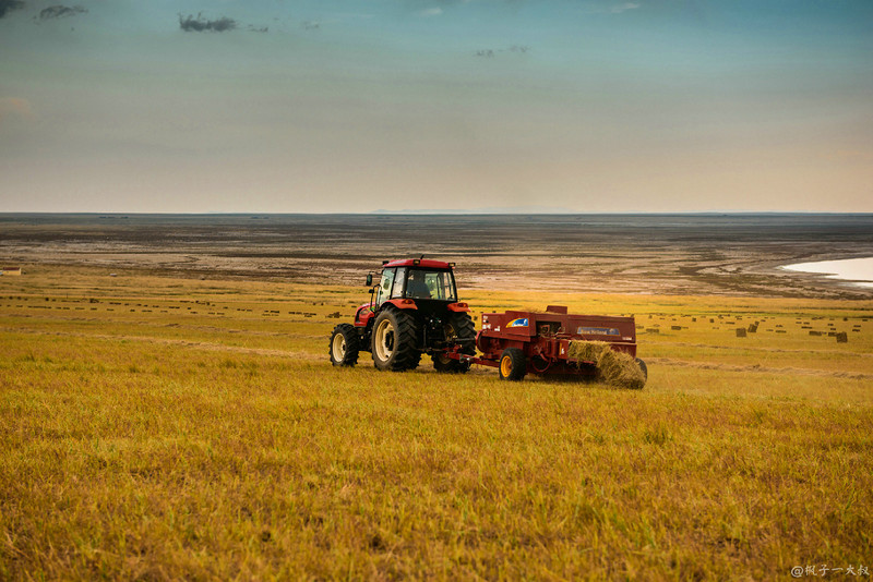 草原金秋美景图片,蓝天白云大草原的美图