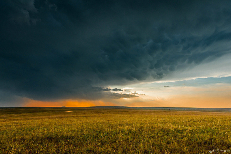 草原金秋美景图片,蓝天白云大草原的美图