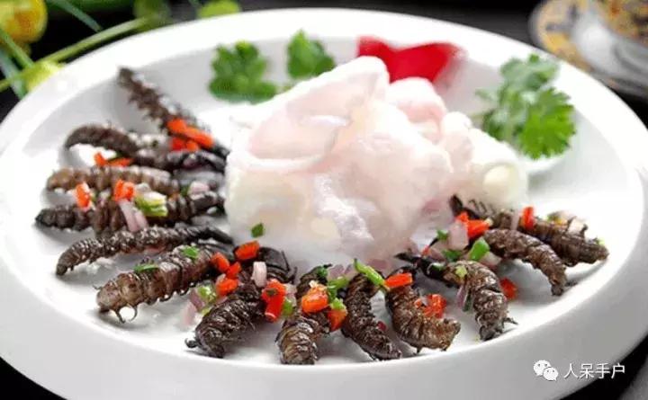 奇特的昆虫美食,史上最恶心的昆虫美食