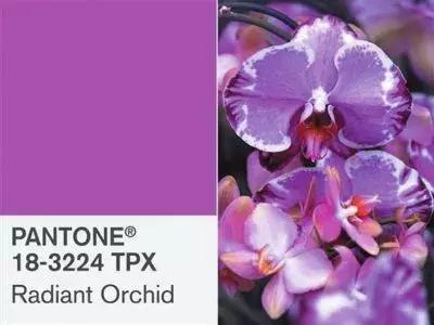 色彩心理学红色加紫色代表什么,颜色心理学不同颜色的含义