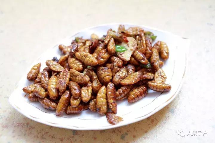 奇特的昆虫美食,史上最恶心的昆虫美食