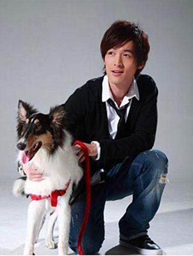 轻松搞定明星同款蓬松发型,明星发型女短碎发