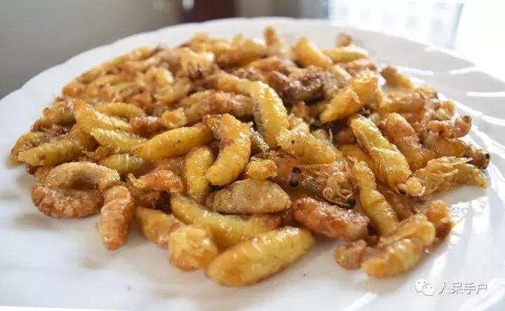 奇特的昆虫美食,史上最恶心的昆虫美食