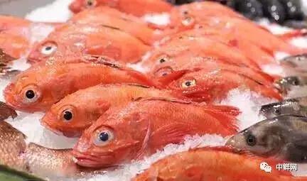 超市水产经营技巧,超市里的水产