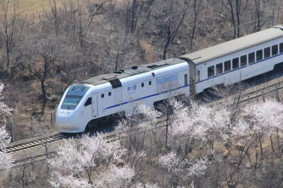 开往春天的列车，我们看图就行了