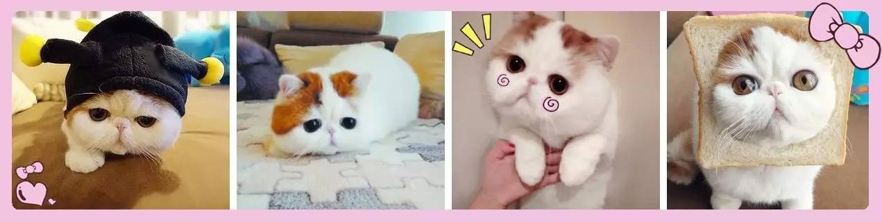 盘点那些不露脸长得很好看的网红,那些头像丑到爆的网红