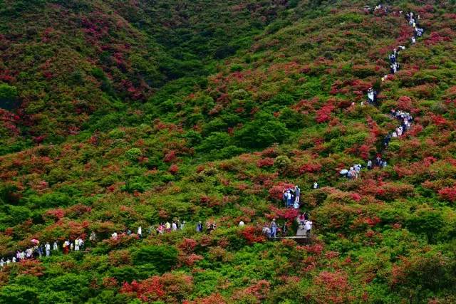 浏阳启动全域美丽乡村示范县,市创建震撼推出十条休闲农业与乡村旅游精品线路