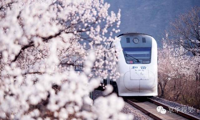 开往春天的列车，我们看图就行了