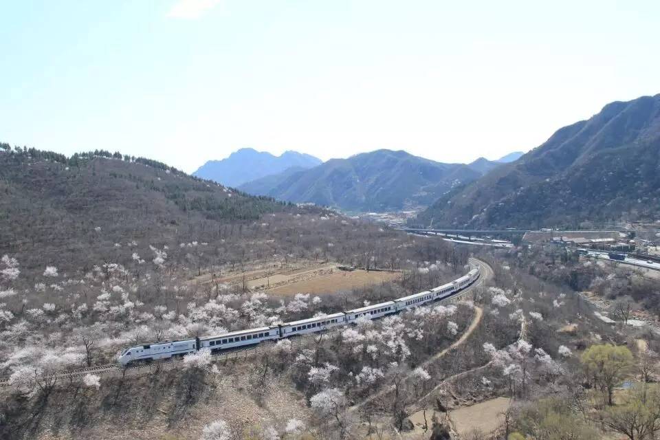 开往春天的列车，我们看图就行了