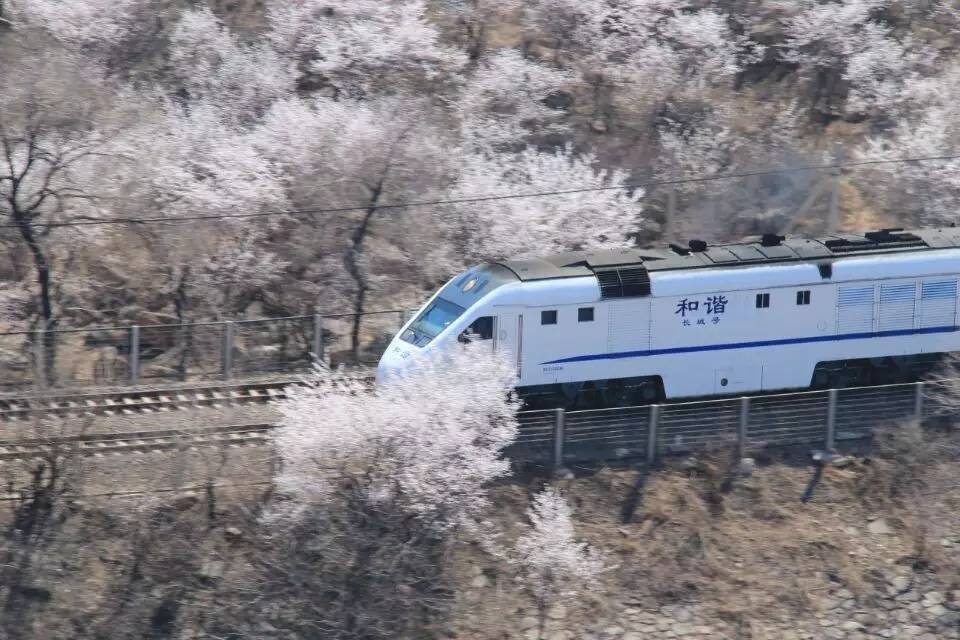 开往春天的列车，我们看图就行了