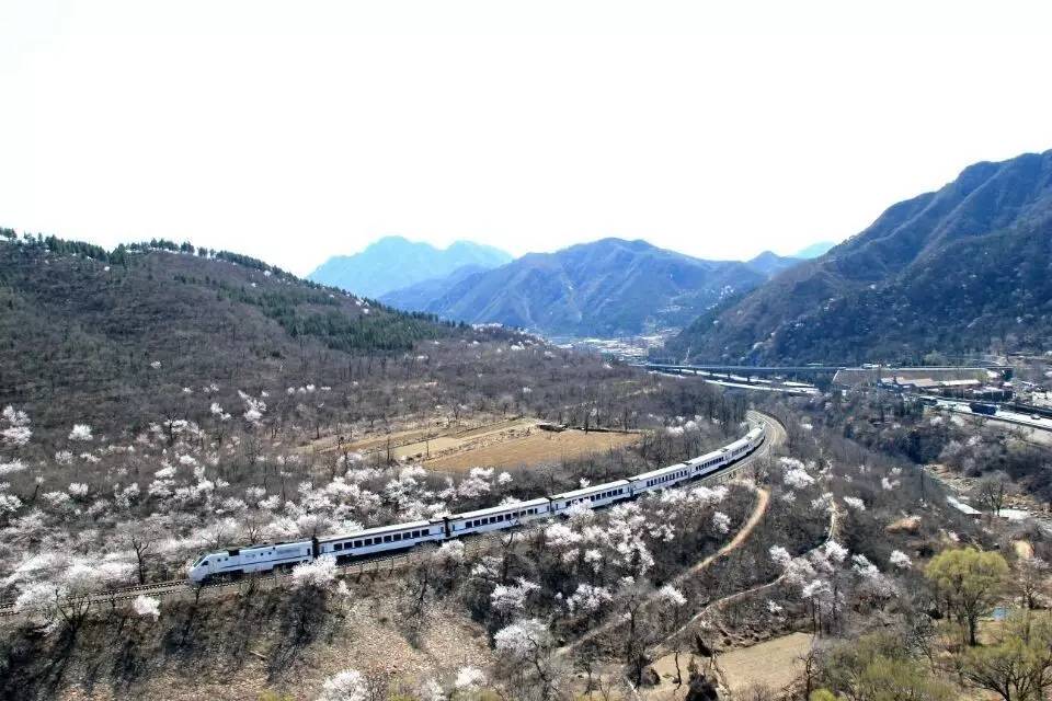 开往春天的列车，我们看图就行了