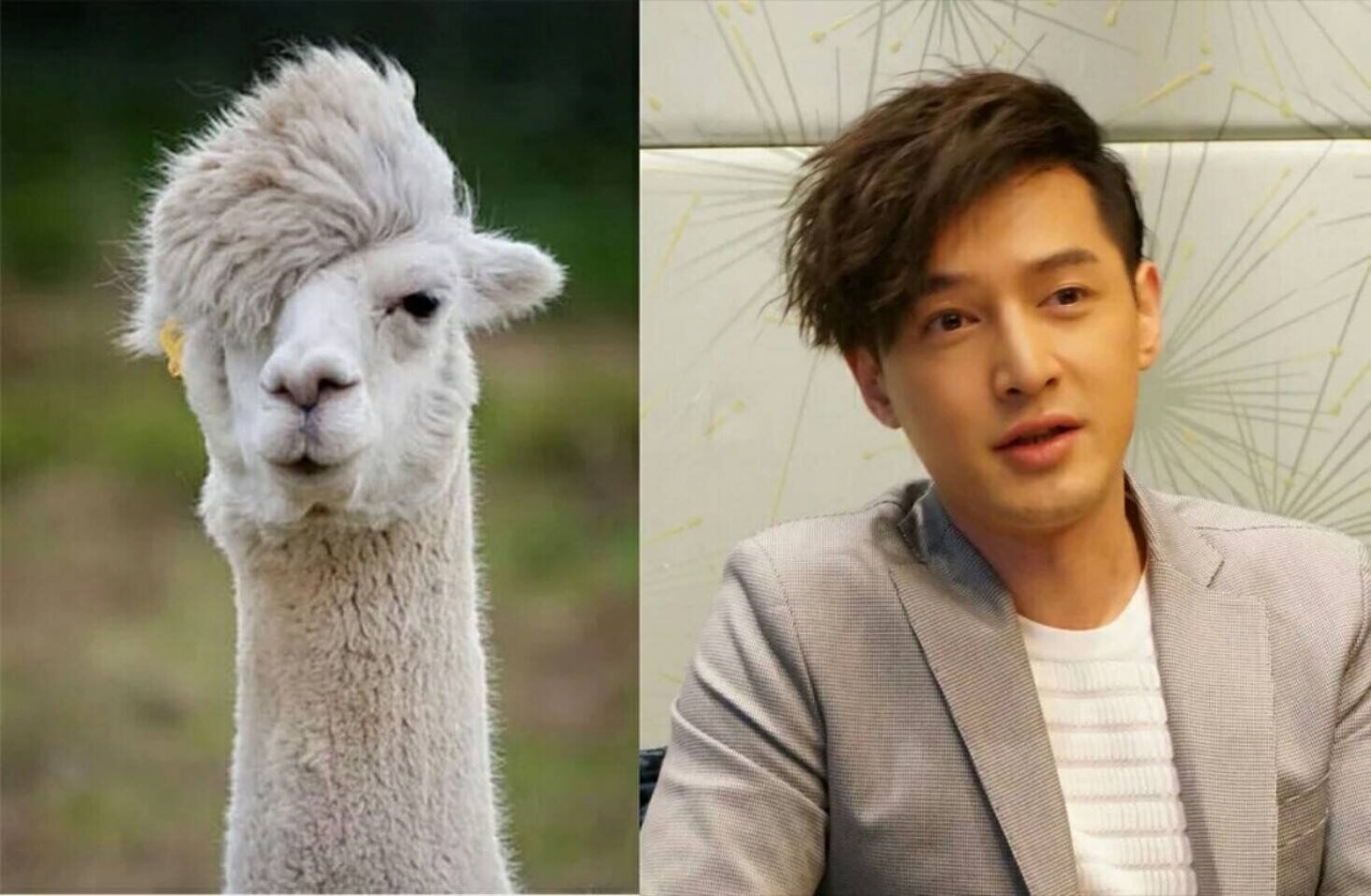 如果一个男神代表一道菜，你次（cī）哪道？ԅ,¯﹃¯ԅ