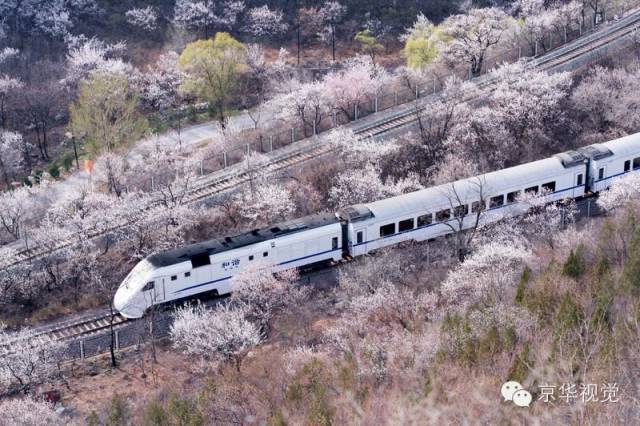 开往春天的列车，我们看图就行了