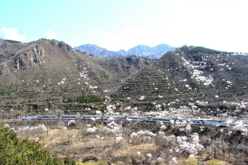 开往春天的列车，我们看图就行了