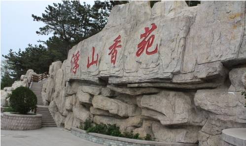 青岛18年清明赏花,青岛赏花踏青攻略