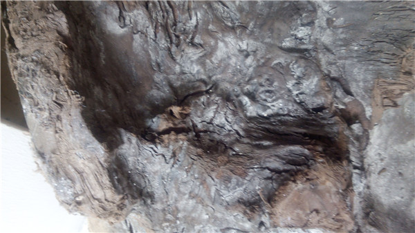 大雨冲来的一块乌黑嘛漆的乌木，原来是茶盘料。