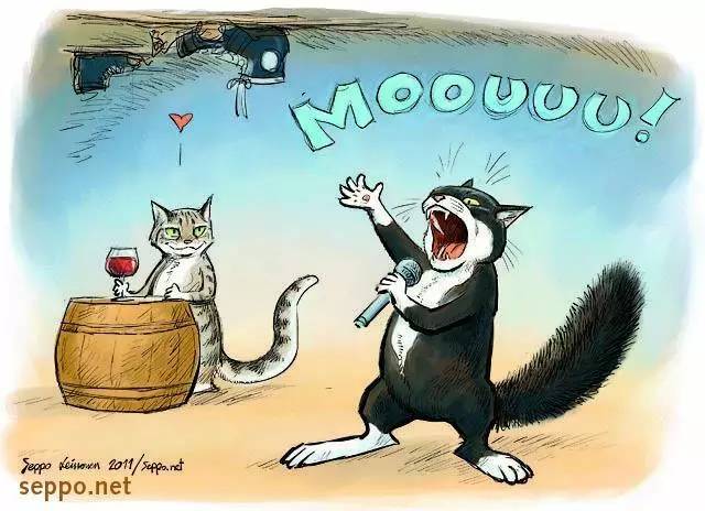 传说中的发情期到了！让猫咪释放欲望还是绝育？