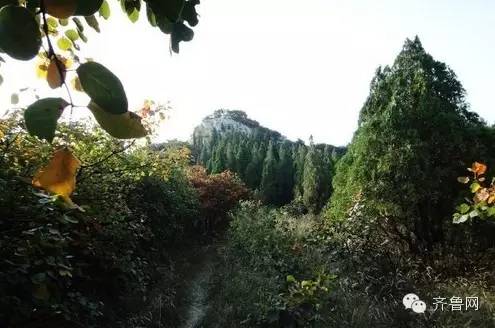 济南十大山体公园,济南最美的五十个山体公园