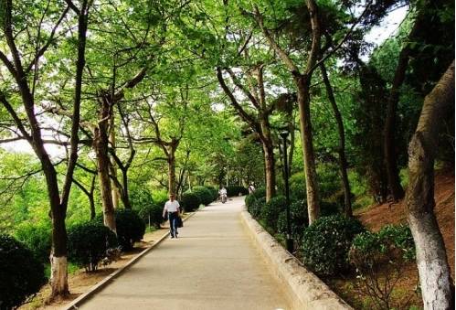 青岛18年清明赏花,青岛赏花踏青攻略