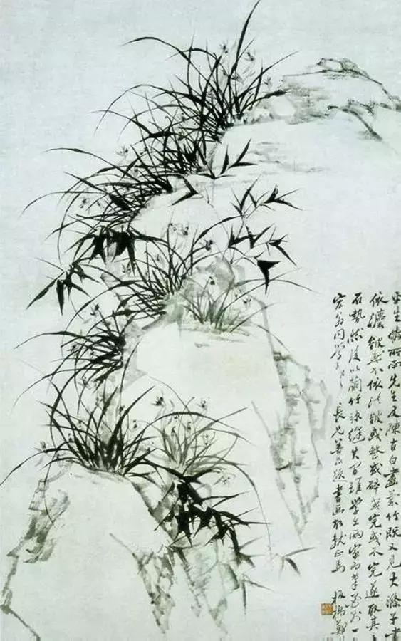 郑板桥画的是兰花还是兰草,郑板桥画不画兰花
