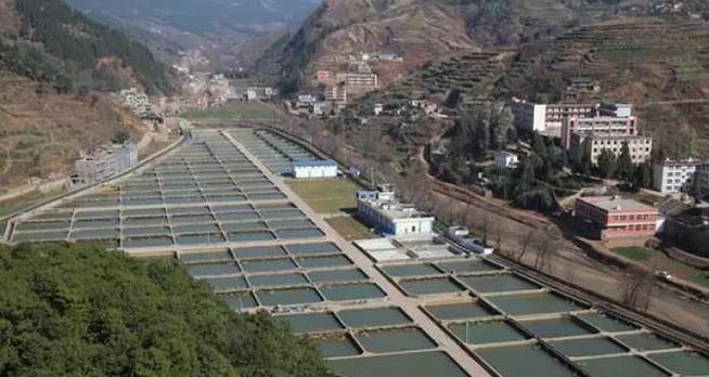 云南鲟鱼谷,中国清江鲟鱼谷