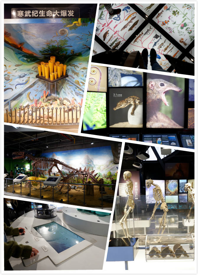 差点错过了因免门票而不屑一顾的科技馆（内含大量剧透）