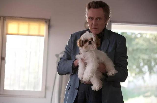 推荐7部构思巧妙的喜剧电影爆笑,让人笑尿的20部高分爆笑喜剧电影