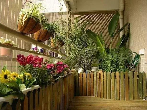 如何把小户型阳台改导致小花园,如何把露天阳台设计成花园