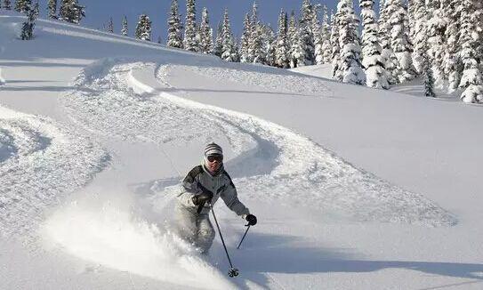 麦当劳更名为“金拱门”，透露出对中国文化的认知？