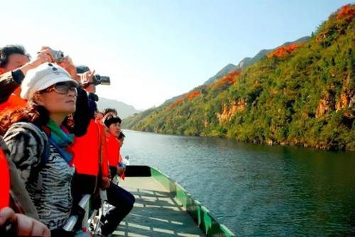 青天河靳家岭赏红叶攻略,上海青天河红叶最佳观赏时间