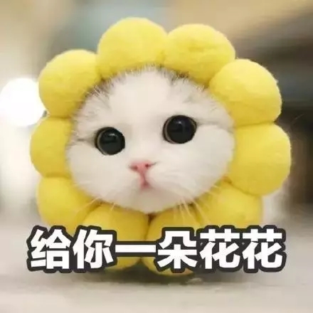 差点错过了因免门票而不屑一顾的科技馆（内含大量剧透）