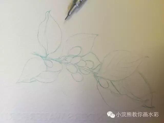 自从学会了植物色彩搭配，再也不用担心不会画植物了！