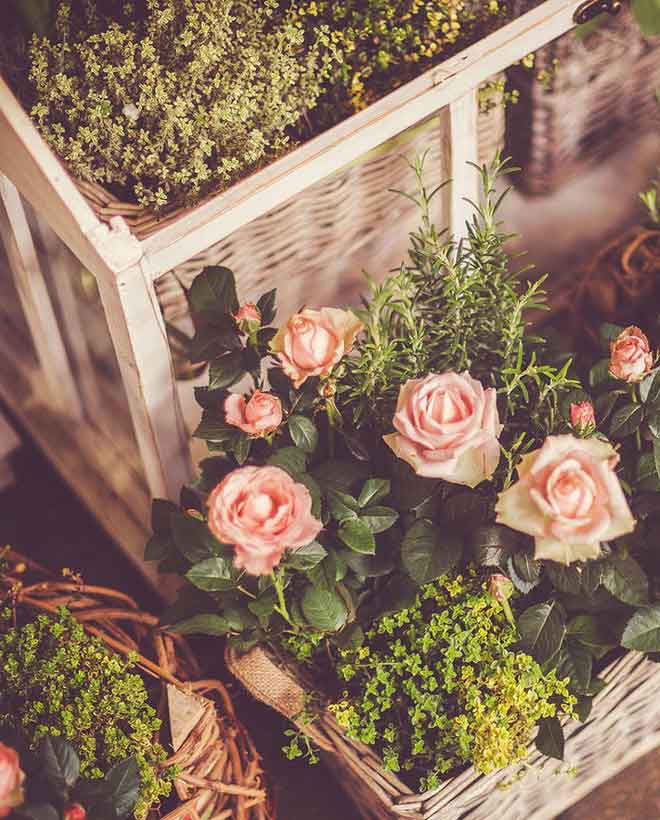 默默的爱一个人无论见与不见,我默默的深爱着你不管见与不见